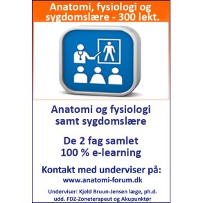 Anatomi, fysiologi og sygdomslre samlet, 300 lekt. 100 % e-learning