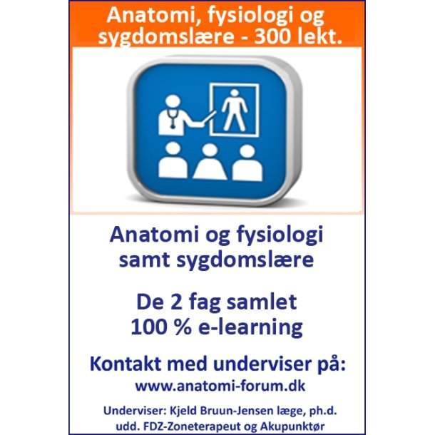 Anatomi, fysiologi og sygdomslære samlet, 300 lekt. 100 % e-learning