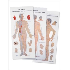 St m. 3 meridianplancher