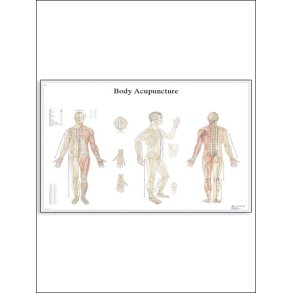 Akupunktur planche 98x68 cm