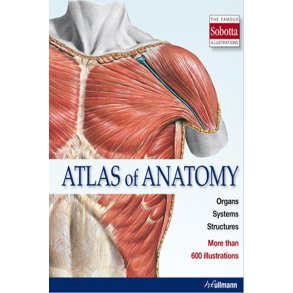 Atlas of Anatomy