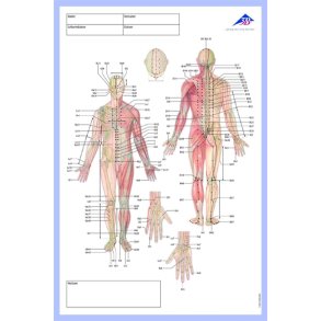 Meridian blok til journaloptegnelser