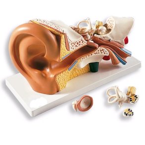 remodel. 3xnormal strrelse