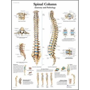 Rygsjlen. Planche 50x67 cm.