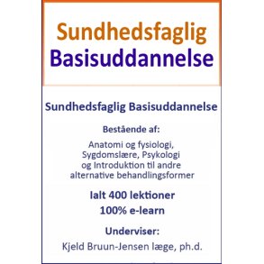 Sundhedsfaglig Basisuddannelse, 400 lekt. 100 % e-learning