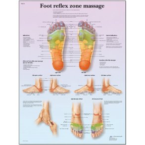 Zoneterapi plakat