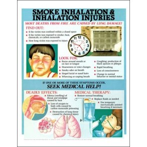 Rgforgiftning. Anatomisk plakat 50x67 cm. Lamineret med lister.