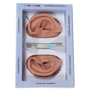 Akupunktur re st - til trning af reakupunktur