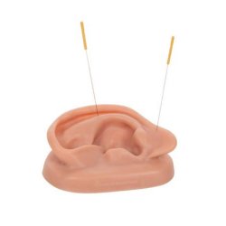 Akupunktur re st - til trning af reakupunktur